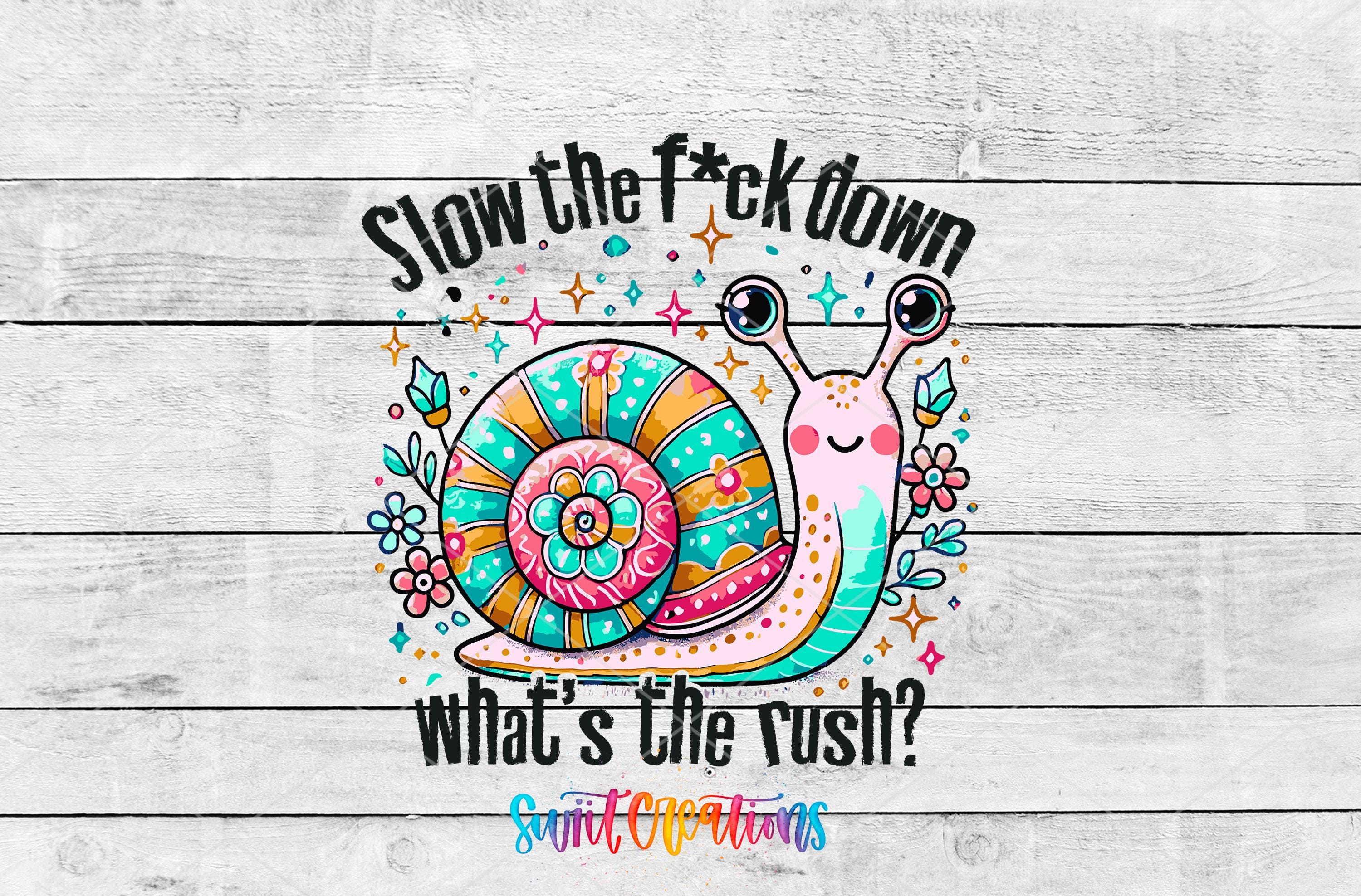 A colorful illustration of a snail with a flower on its shell, accompanied by the text "Slow the fuck down, what's the rush?"