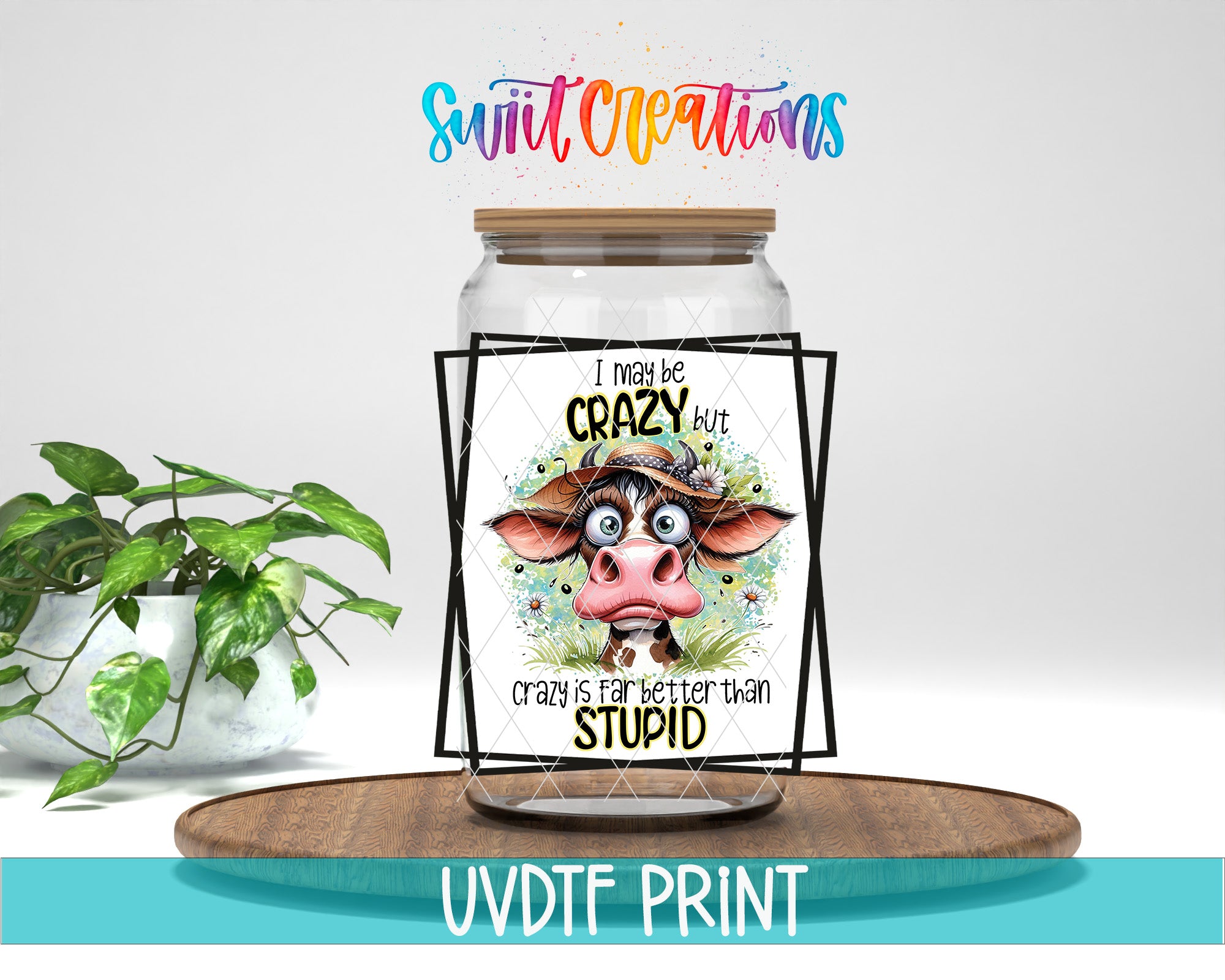 a glass jar with a label that includes a cartoon cow and the text "I may be crazy but I'm far better than stupid". The jar is placed on a wooden tray, and there is a potted plant in the background.