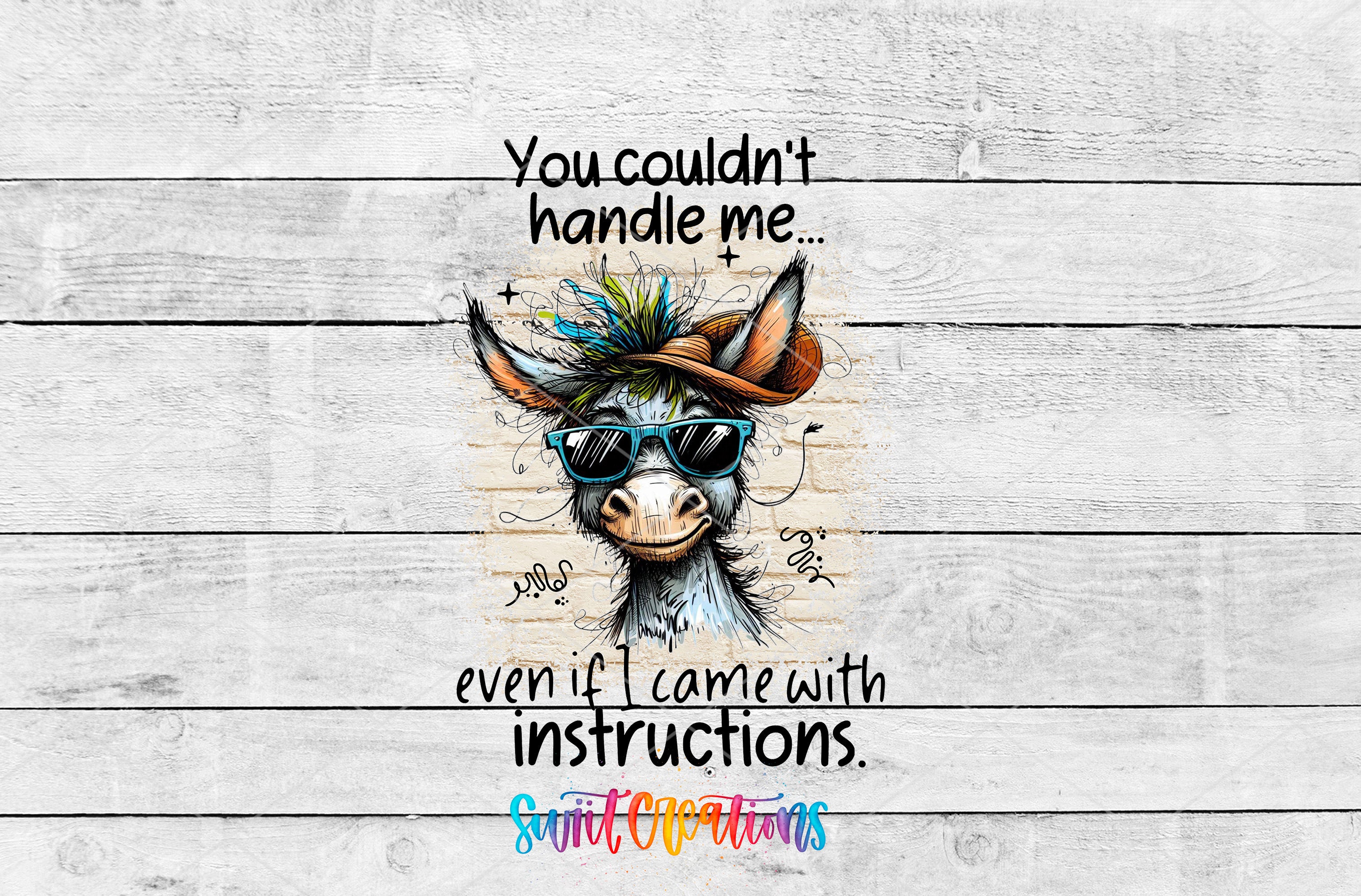 A donkey wearing sunglasses and a hat, with text above the donkey that reads "You couldn't handle me... even if I came with instructions."