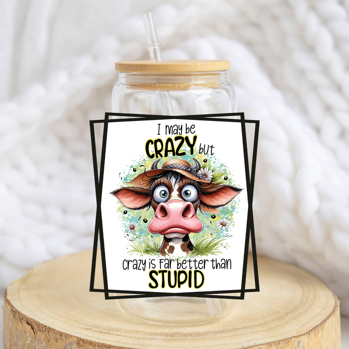 Crazy Is Far Better Than Stupid design on a 16 oz glass tumbler