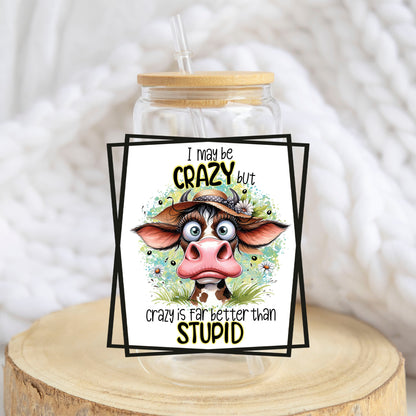 Crazy Is Far Better Than Stupid design on a 16 oz glass tumbler