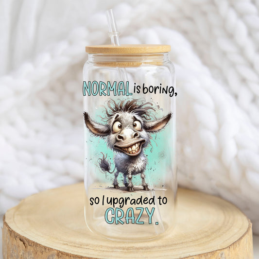 Normal Is Boring design on a 16 oz glass tumbler