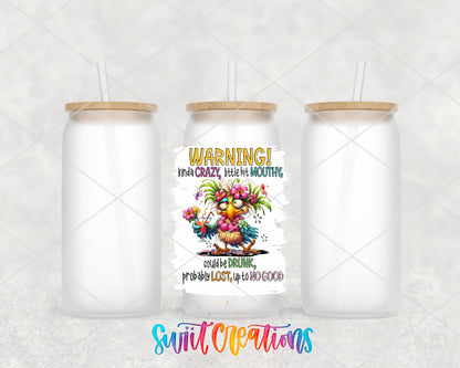 Warning Kinda Crazy frosted glass tumbler group view with lids and straws