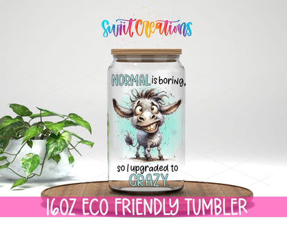 Normal Is Boring design on a 16 oz clear glass tumbler with bamboo lid