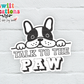 Talk to the Paw Waterproof Sticker   (SS197) | SCD203