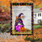 Trick or Treat Gnome Halloween Flag (YF37)