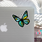Aqua Butterfly Waterproof Sticker  (SS032) | SCD235